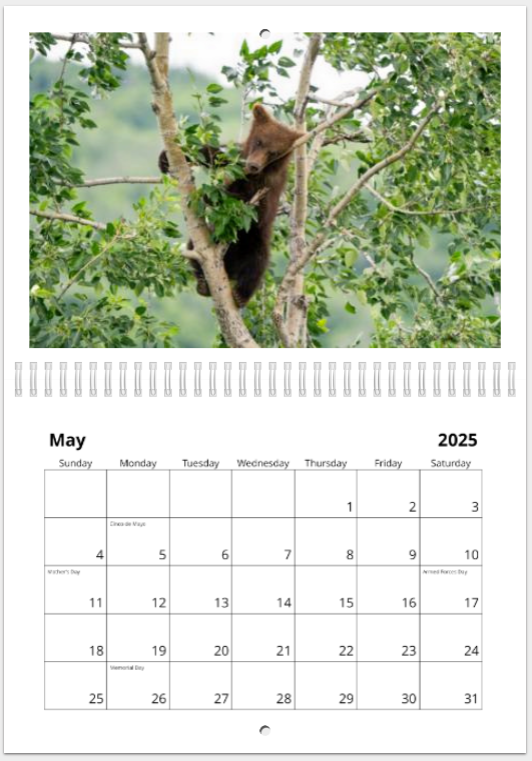 2025 Calendar