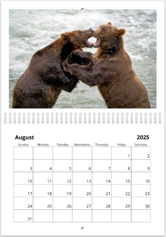 2025 Calendar