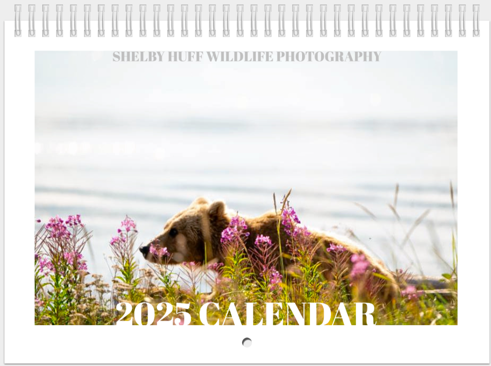 2025 Calendar