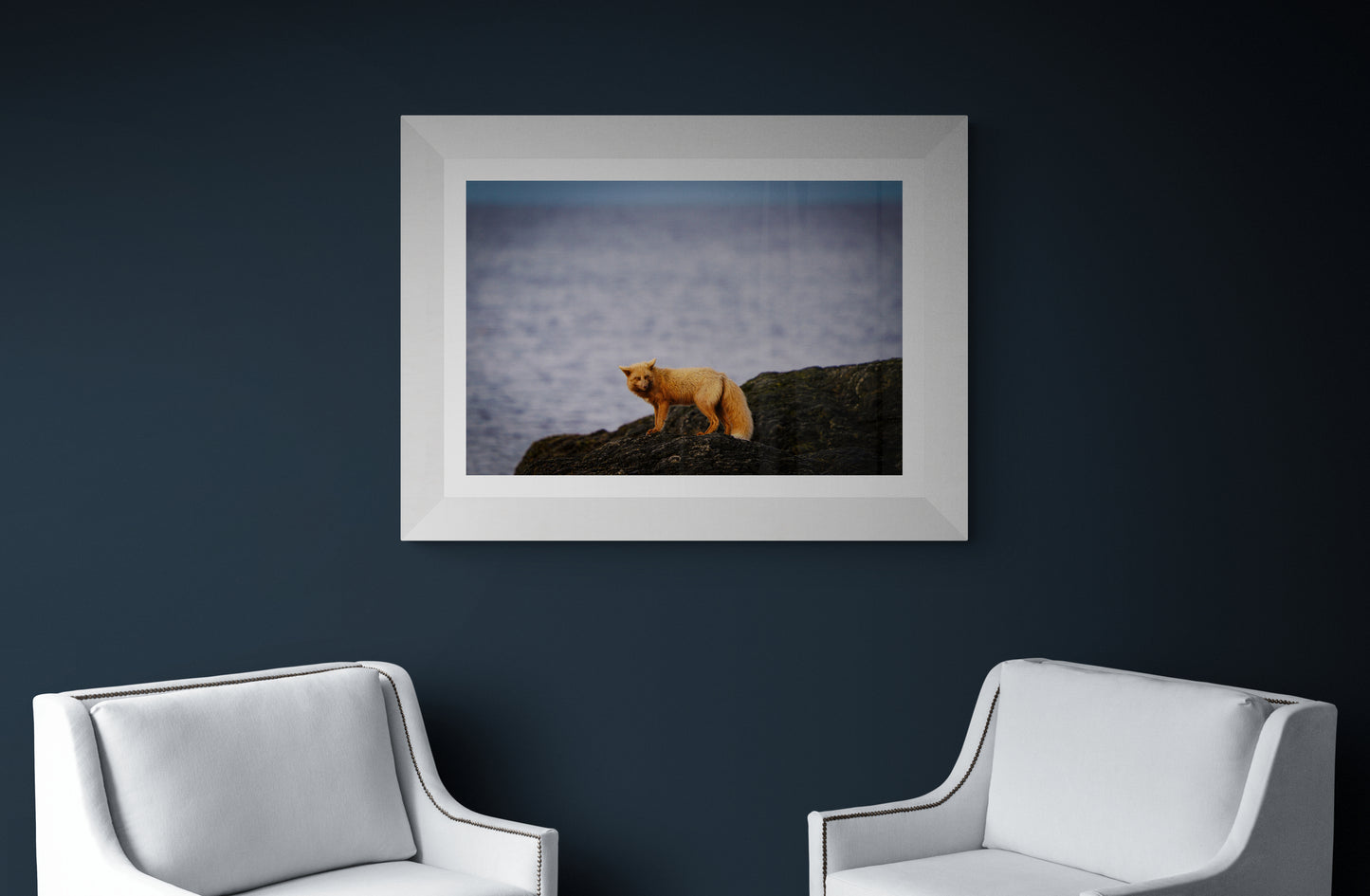 Fox by the Sea