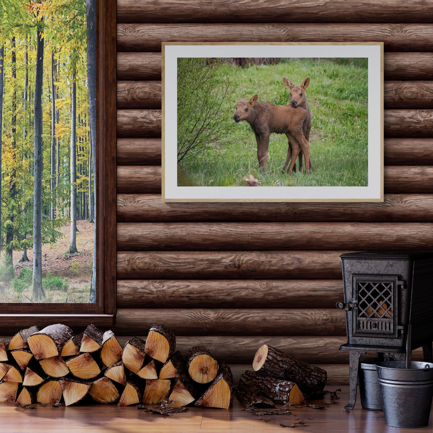 Moose Calves