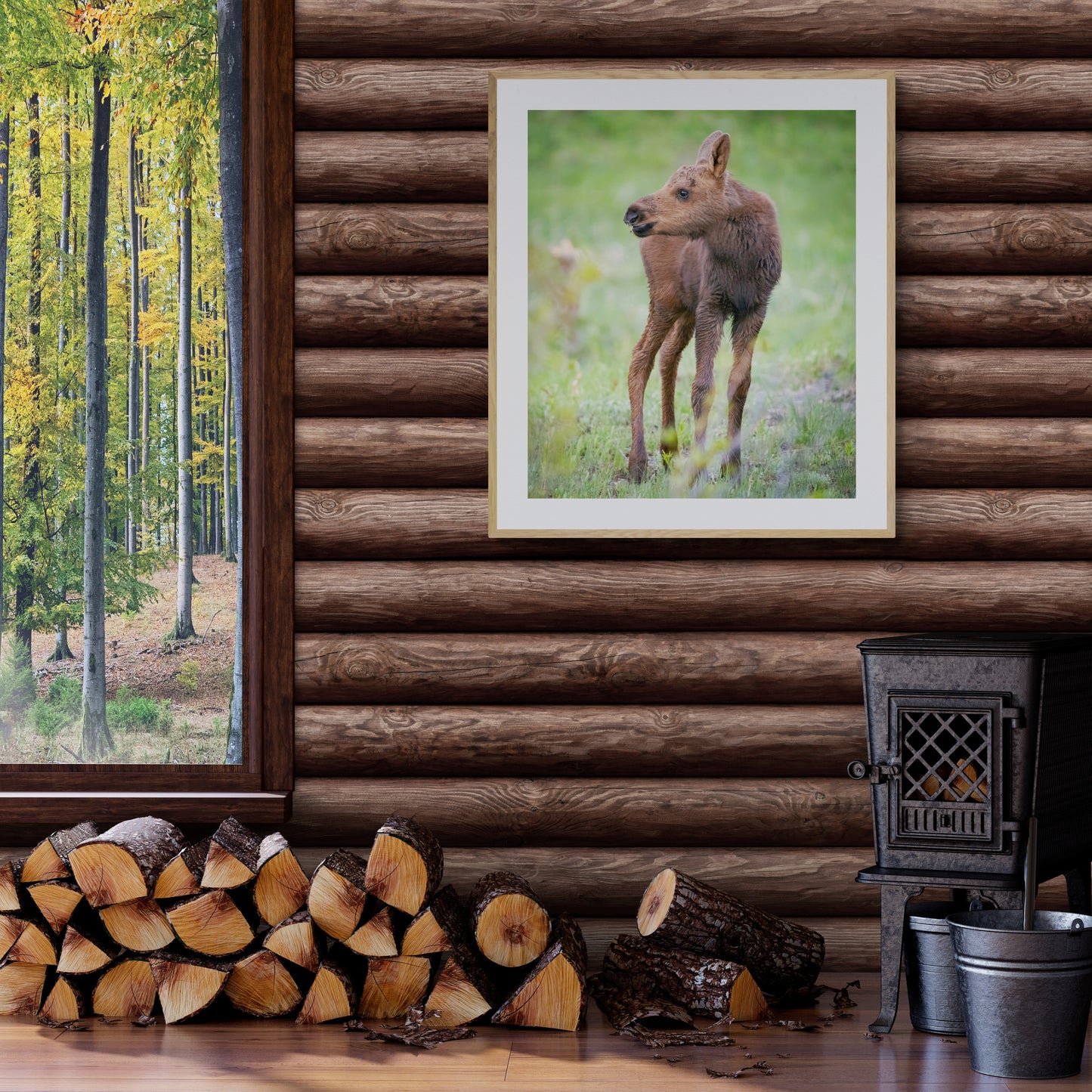 Little Moose