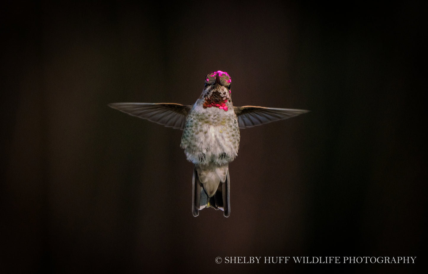 In Flight