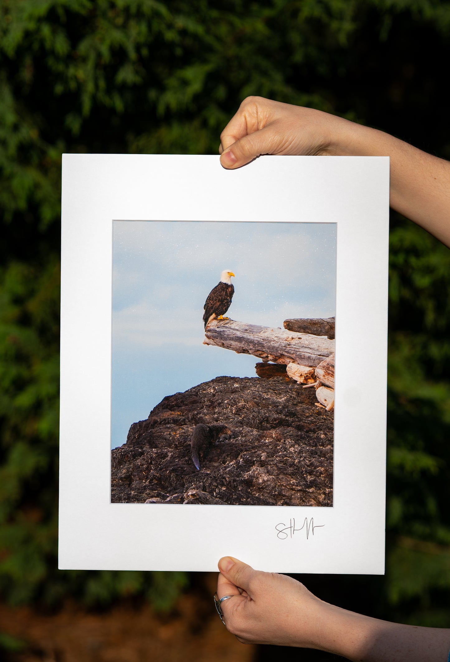 Eagle and Otter