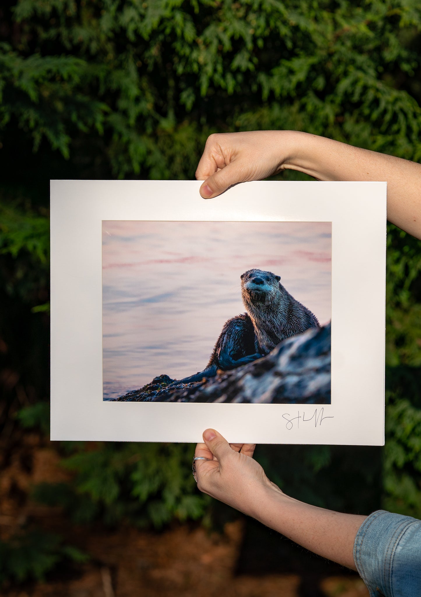 Sunrise River Otter