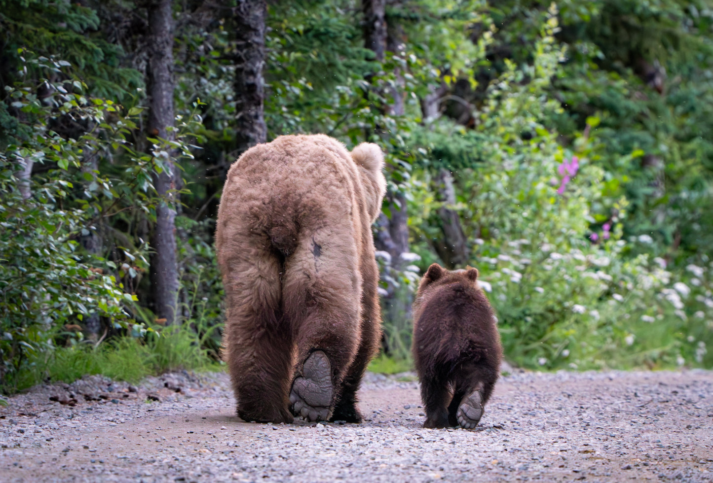 Little Stroll