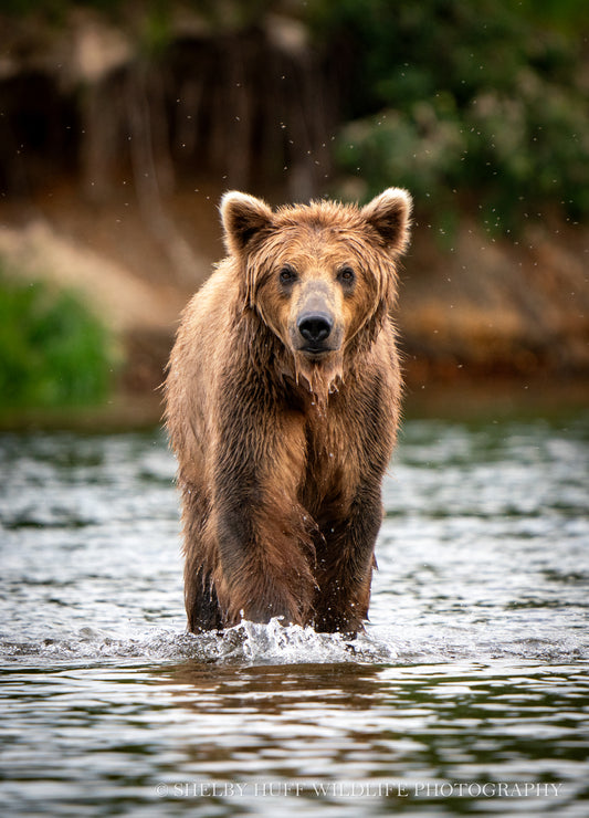 On the Hunt