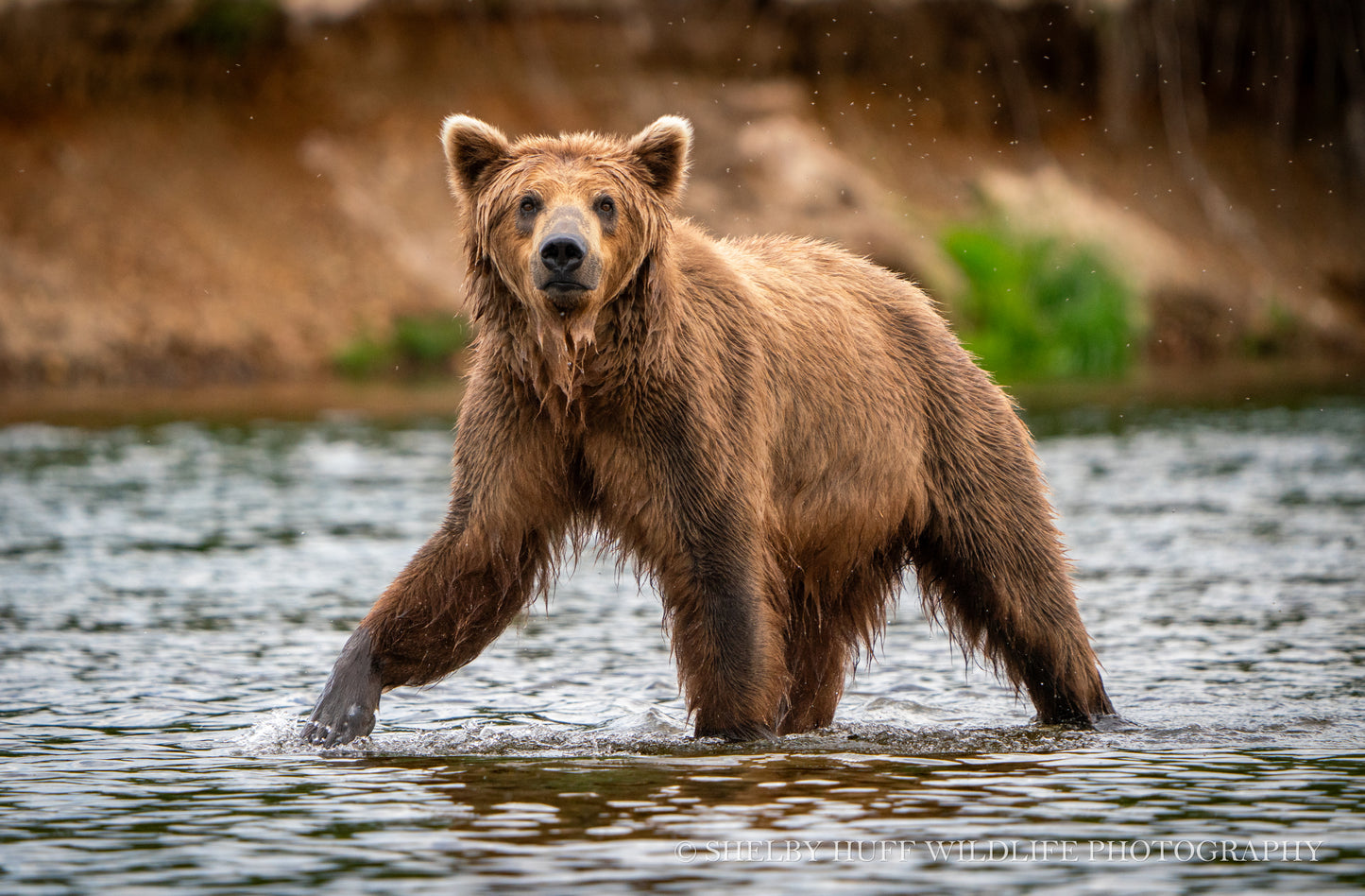 On the River