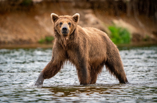 On the River