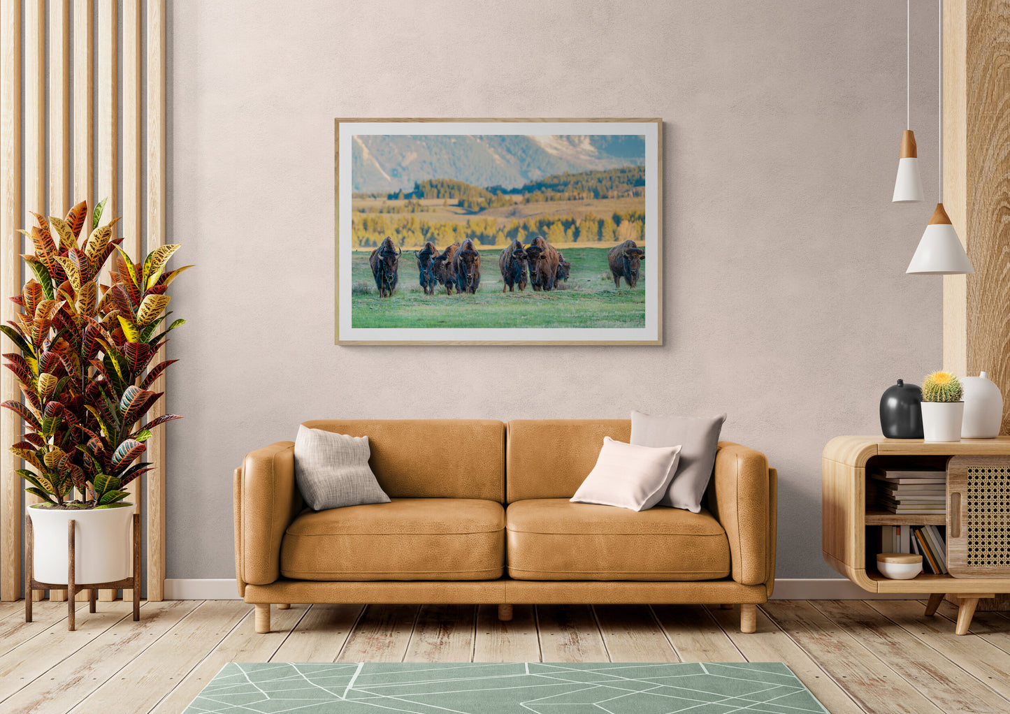 Bison Herd