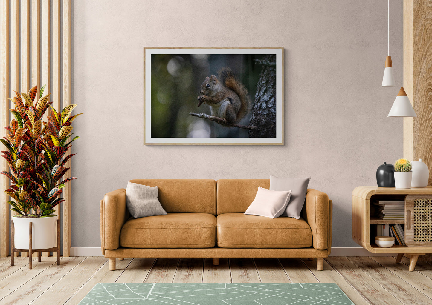 Red Squirrel