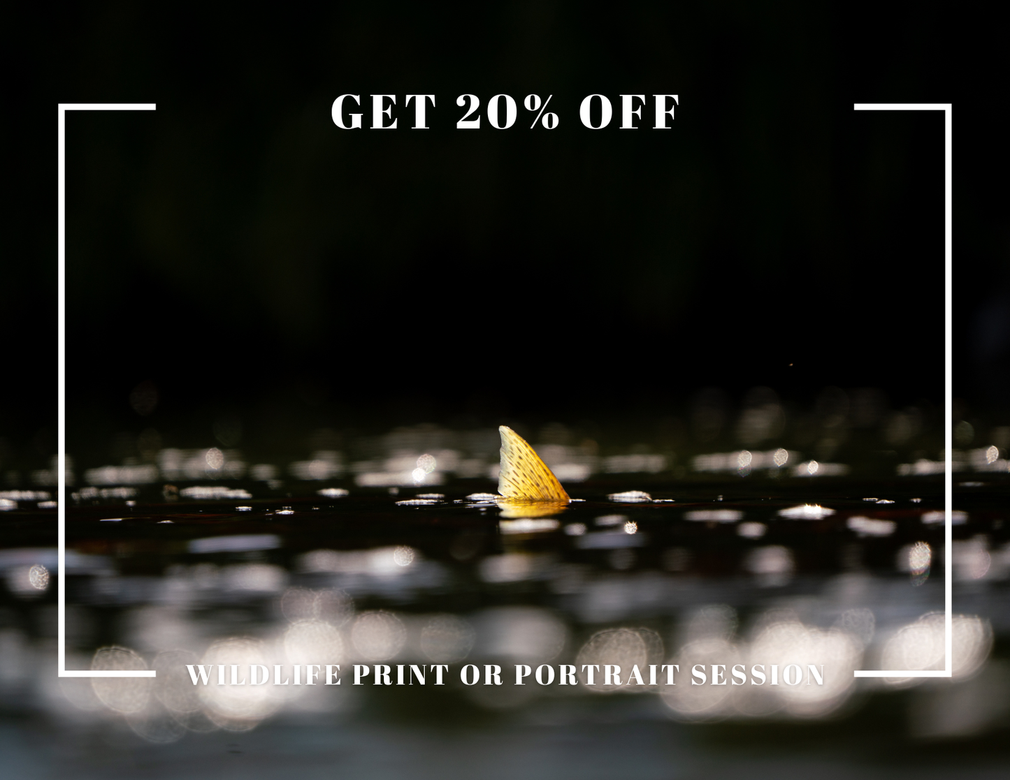 2026 Wildlife Calendar