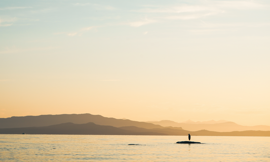 Morning on the Sea