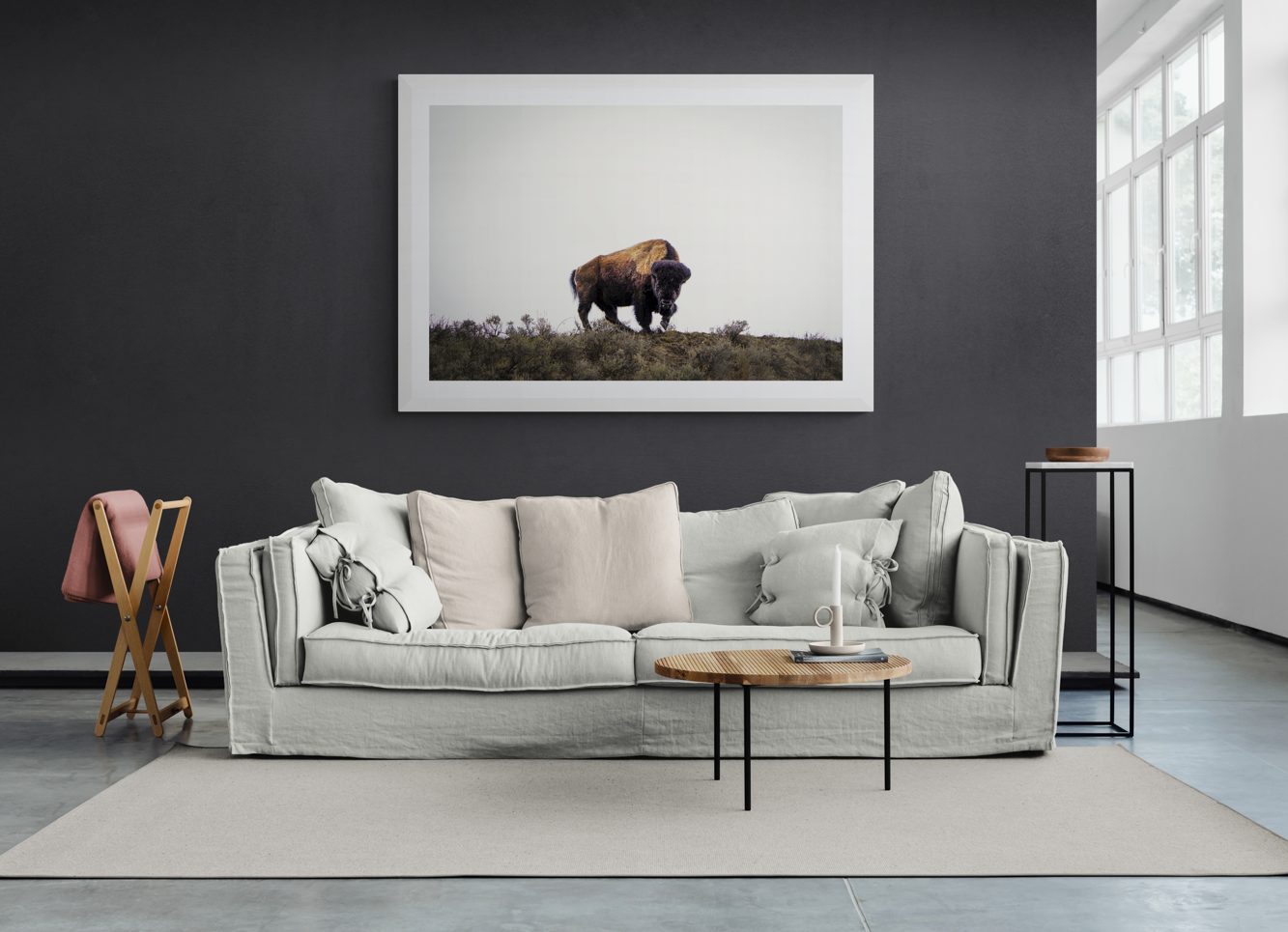 Yellowstone Bison
