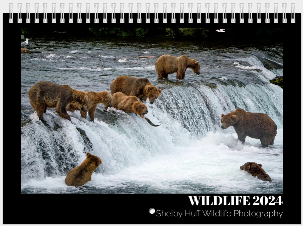 2024 Calendar