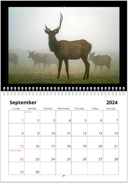 2024 Calendar