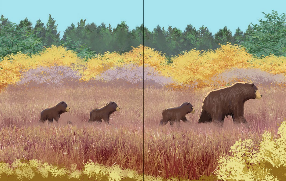 Not Like Other Bears