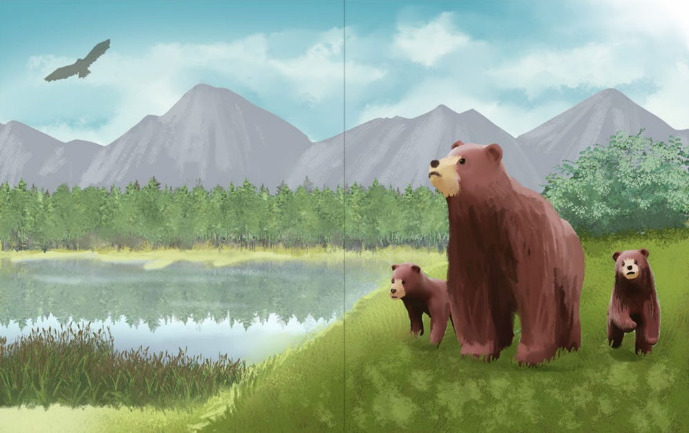 Not Like Other Bears