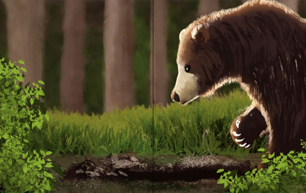 Not Like Other Bears