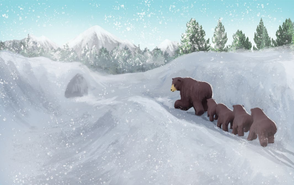 Not Like Other Bears