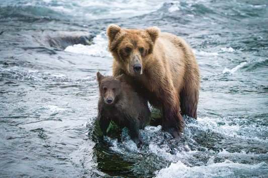 In the River