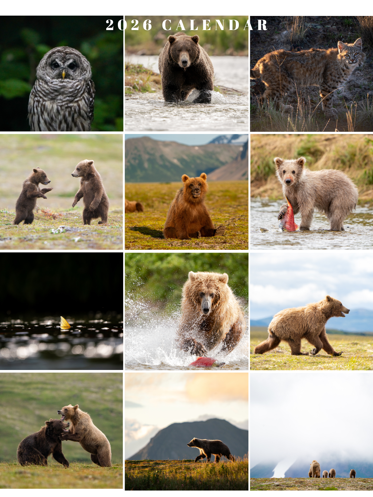 2026 Wildlife Calendar