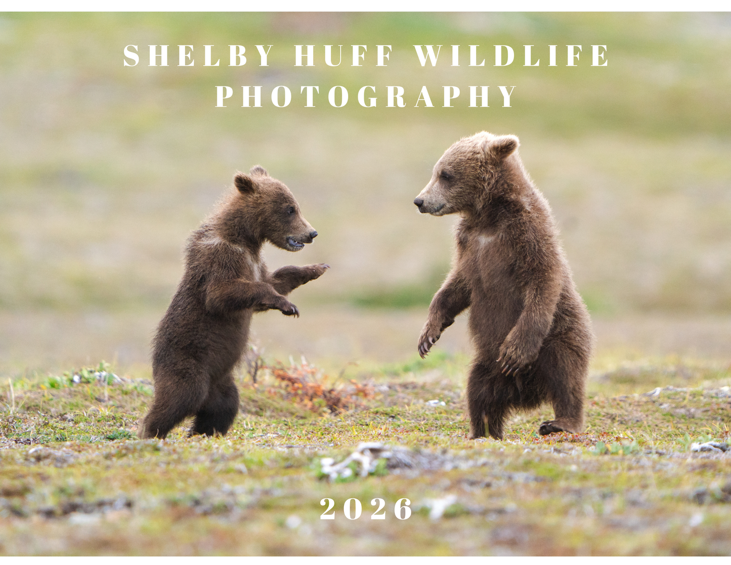 2026 Wildlife Calendar