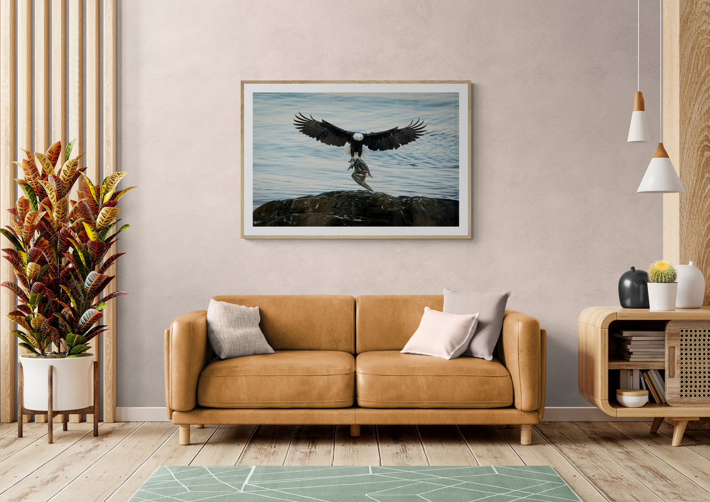 Bald Eagle with Cormorant